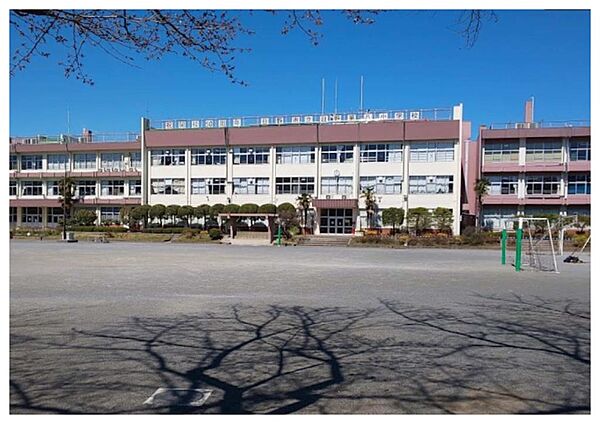 画像23:日野市立第八小学校（351m）