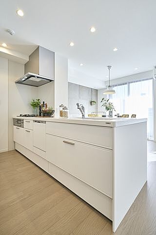 キッチン 武蔵新城デュープレックス 4階/401