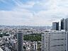 その他：45階部分ならではの開放感ある眺望です。空が大きく広がり、遠くまで見渡せる都心の街並みを一望できるため、住戸からの景色も日々の楽しみになりそうです。