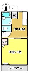 カルムM1 1階1DKの間取り