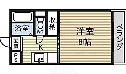 ヒロタハイツ 1階/-