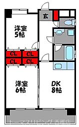 Rsレジデンス松島 5階/-