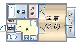 アクアハイツ 2階/-