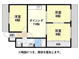 シャローム タルタニ 5階