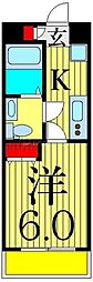 AZESTお花茶屋IV 5階/505
