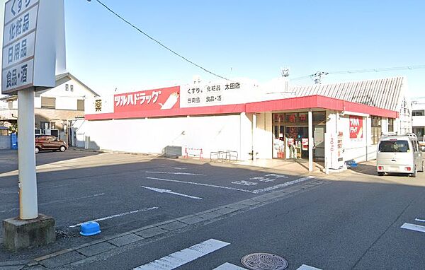 画像20:【ドラッグストア】ツルハドラッグ 太田店まで802ｍ