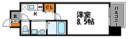 ウインステージ平尾 10階