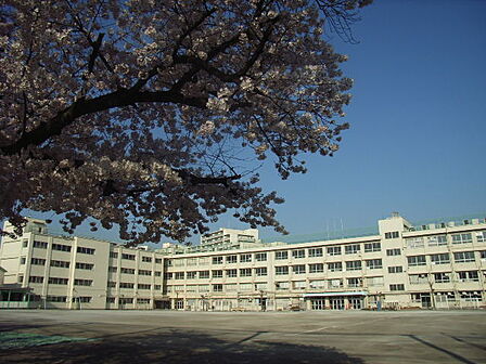 目黒区立東山中学校まで803m