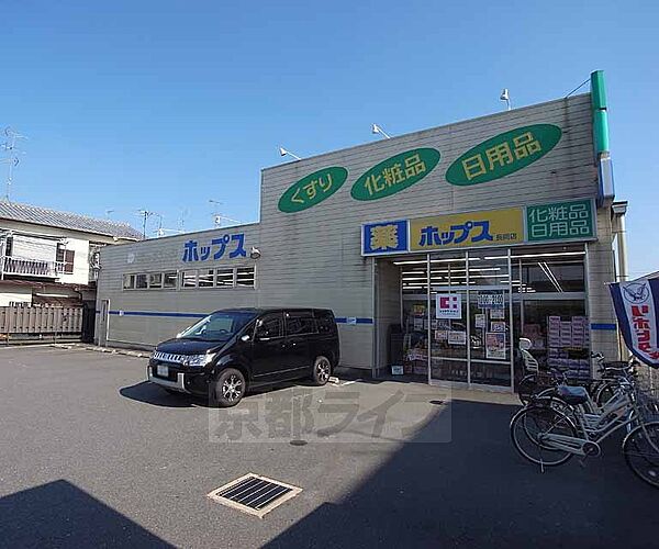 京都府長岡京市野添2丁目(賃貸マンション2LDK・1階・46.00㎡)の写真 その30