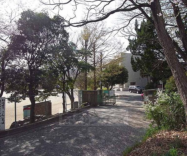 京都府長岡京市下海印寺横山(賃貸マンション3DK・3階・51.75㎡)の写真 その30