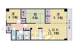 ヴェルジュール桂川 3階/-