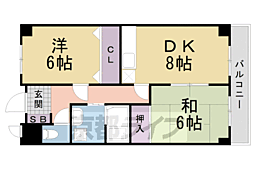 エクセレント上桂 1階/-