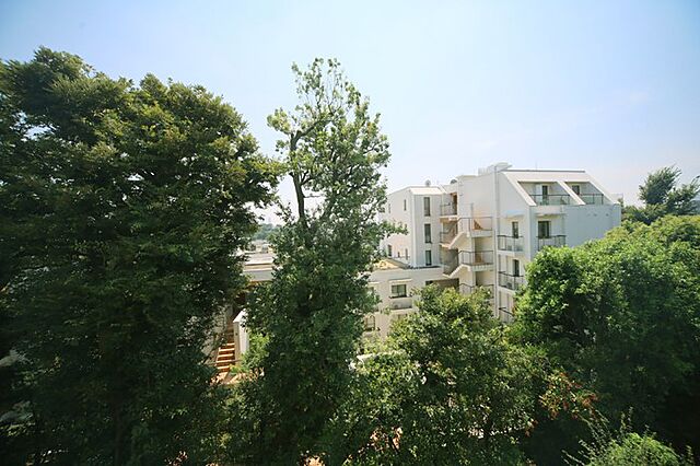 周辺 クラッシィハウス等々力 4階/-