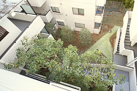 マンションの敷地内には、植栽のある中庭があります♪