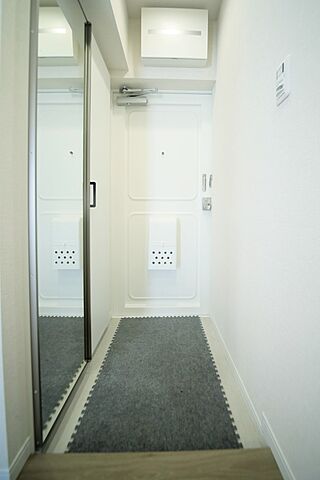 玄関 多摩川住宅トの2号棟 5階/-