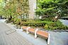 その他：マンションの敷地内には、植栽が施されております♪