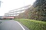 その他：マンションの敷地内には、植栽が施されております♪