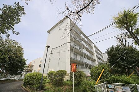 マンションの敷地内には、植栽が施されております♪