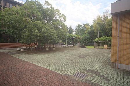 マンションの敷地内には、植栽が施されております♪