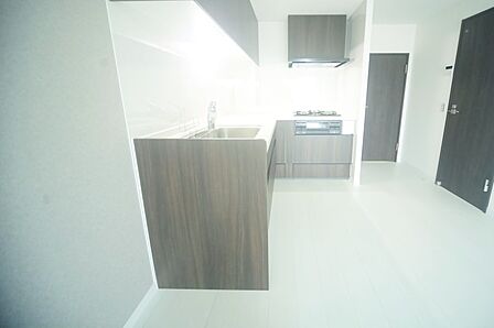 吊戸棚付き! 浄水機能も有るシステムキッチンです♪