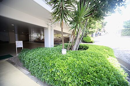 マンションの敷地内には、植栽が施されております♪