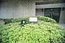 その他：マンションの敷地内には、植栽が施されております♪