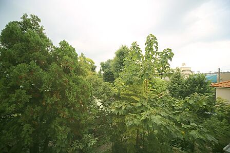 3階部分の南西向きで、陽当り良好となっております♪