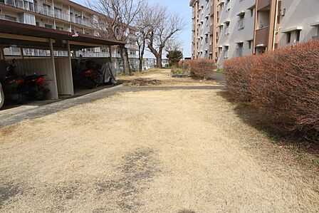マンションの敷地内には、植栽が施されております♪