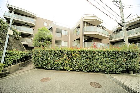 マンションの敷地内には、植栽が施されております♪