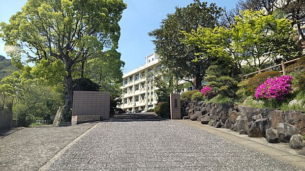 画像28:長崎県立長崎西高校 1177m