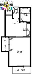 ハイツピッコリーノ 2階/203