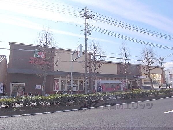 画像18:イズミヤ　千本北大路店まで110メートル