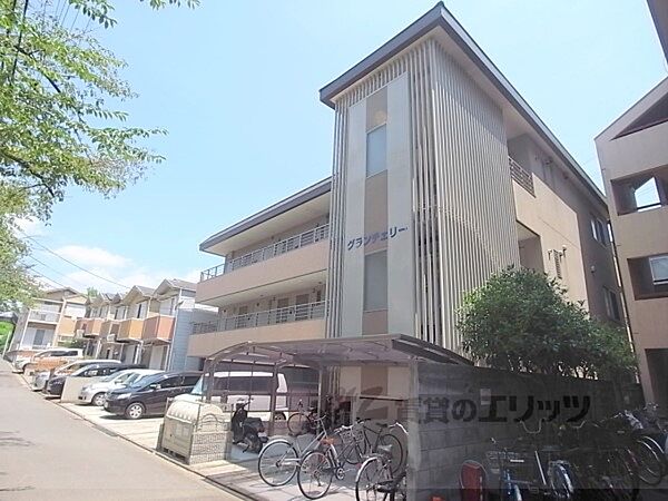 グランチェリー 202｜京都府京都市右京区西京極葛野町(賃貸マンション1K・2階・30.24㎡)の写真 その1