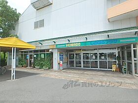 滋賀県近江八幡市江頭町（賃貸アパート1LDK・1階・44.70㎡） その23