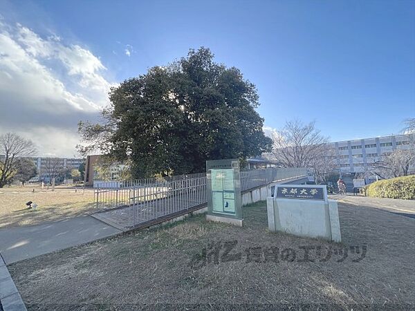 D-ROOM伏見区醍醐槇ノ内町 207｜京都府京都市伏見区醍醐槇ノ内町(賃貸アパート1LDK・2階・40.08㎡)の写真 その11