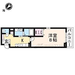 ブライトアイリス
