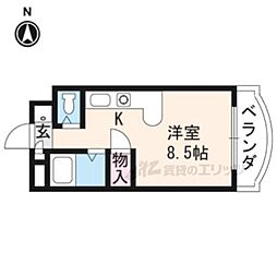 🉐敷金礼金0円！🉐メゾンマロニエ