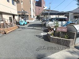 3 / 6