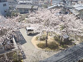 パーク・ハイム宝ヶ池銀杏館  ｜ 京都府京都市左京区上高野西氷室町（賃貸マンション3LDK・5階・88.85㎡） その27