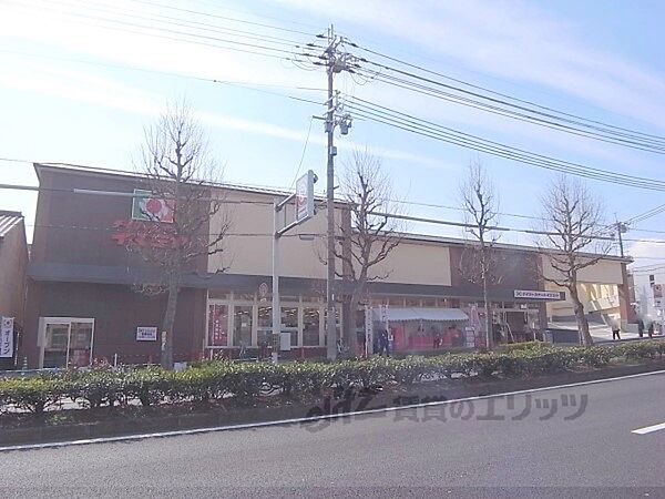 イズミヤ　千本北大路店まで280メートル