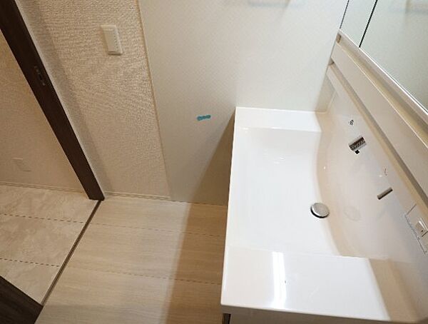 画像10:広い洗面スペース