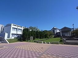 【大学】国立奈良教育大学まで805ｍ