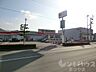 周辺：くすりのレデイ 束本店（1024m）
