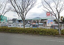 コメリ(750m)