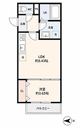 SHOMIA TOSU 1LDKの間取図画像