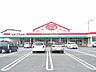 周辺：マックスバリュ(1、500m)