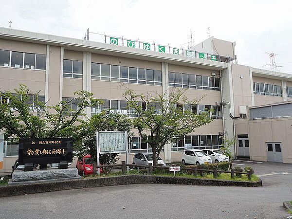 プレミアムアイランド尾崎