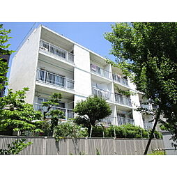 東京メトロ丸ノ内線 新中野駅 徒歩8分の賃貸マンション