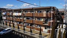 栃木県塩谷郡高根沢町光陽台4丁目（賃貸マンション3LDK・3階・65.08㎡） その6