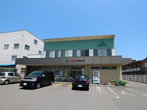画像19:【銀行】JA静岡市藁科支店まで1504ｍ